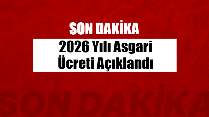 2026 Asgari Ücret Rakamları Netleşti: İşte İşveren Maliyeti ve Net Artış Oranı